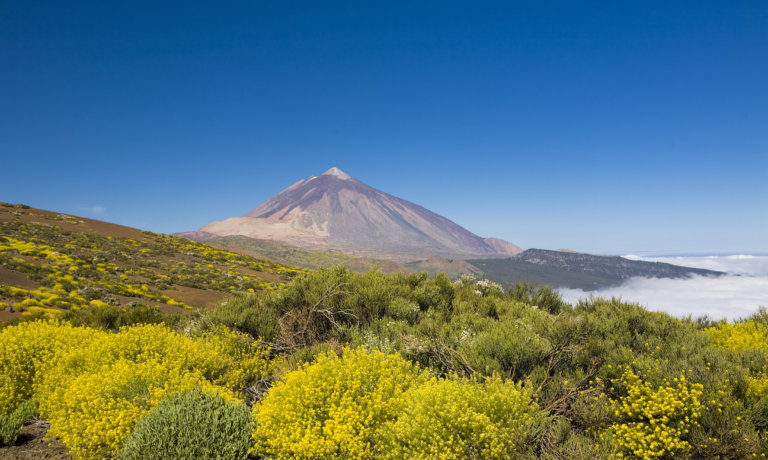 JÓGA NA TENERIFE – ŘÍJEN s Kateřinou Voňavkovou