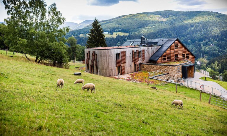 JÓGA VÍKEND V KRKONOŠÍCH – Amenity Špindlerův Mlýn – LISTOPAD 2025 s Janou Pěšákovou