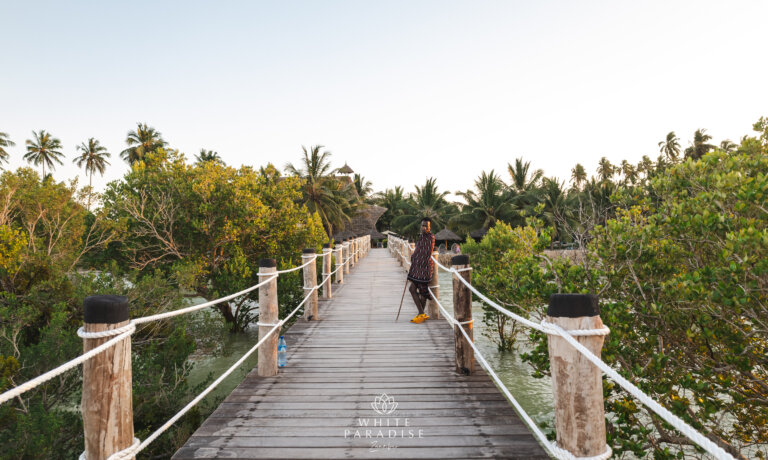 jetty 2