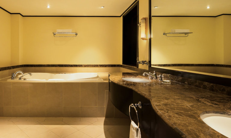 Deluxe Suite Bathroom 1
