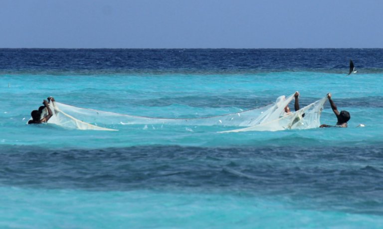 MAL01 Ostrov Rasdhoo (2)