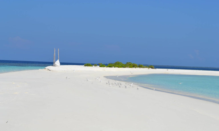 MAL02 Dhigurah 02 (11)