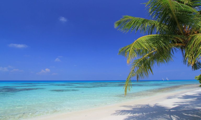 MAL02 Dhigurah 02 (20)